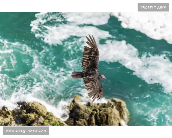 水晶宫，伦敦之鹰的展翅翱翔